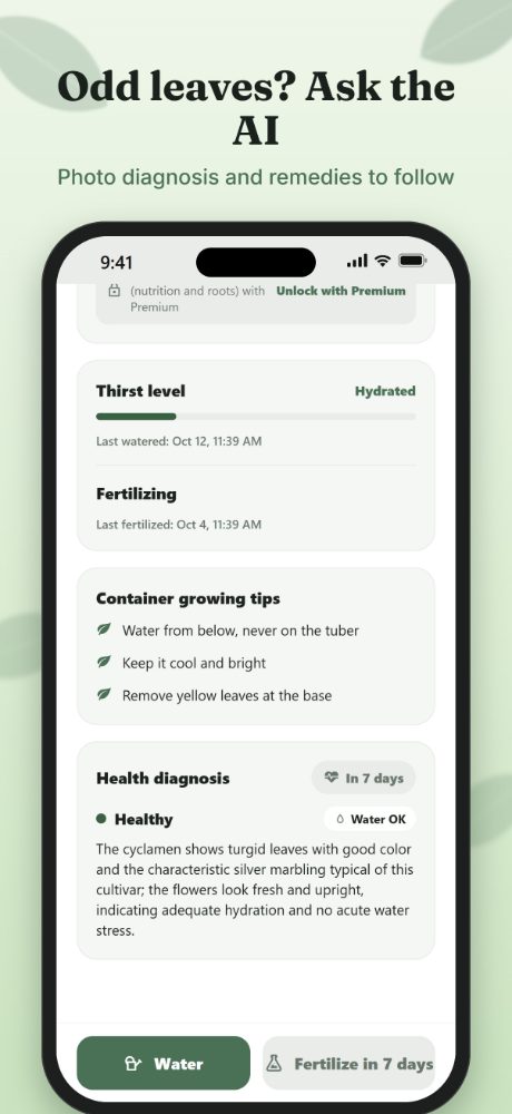 AI diagnosis